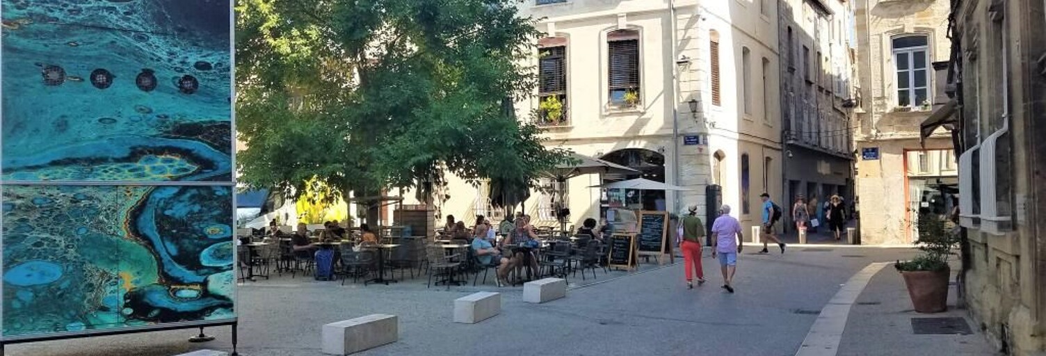 Appartement 1 Pièce 25 m² à louer à Avignon (84000)