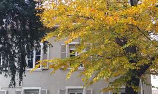 Appartement 3 Pièces 111 m² à louer à Mulhouse (68100)