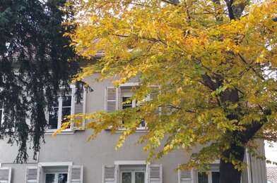 Appartement 3 pièces 850 €