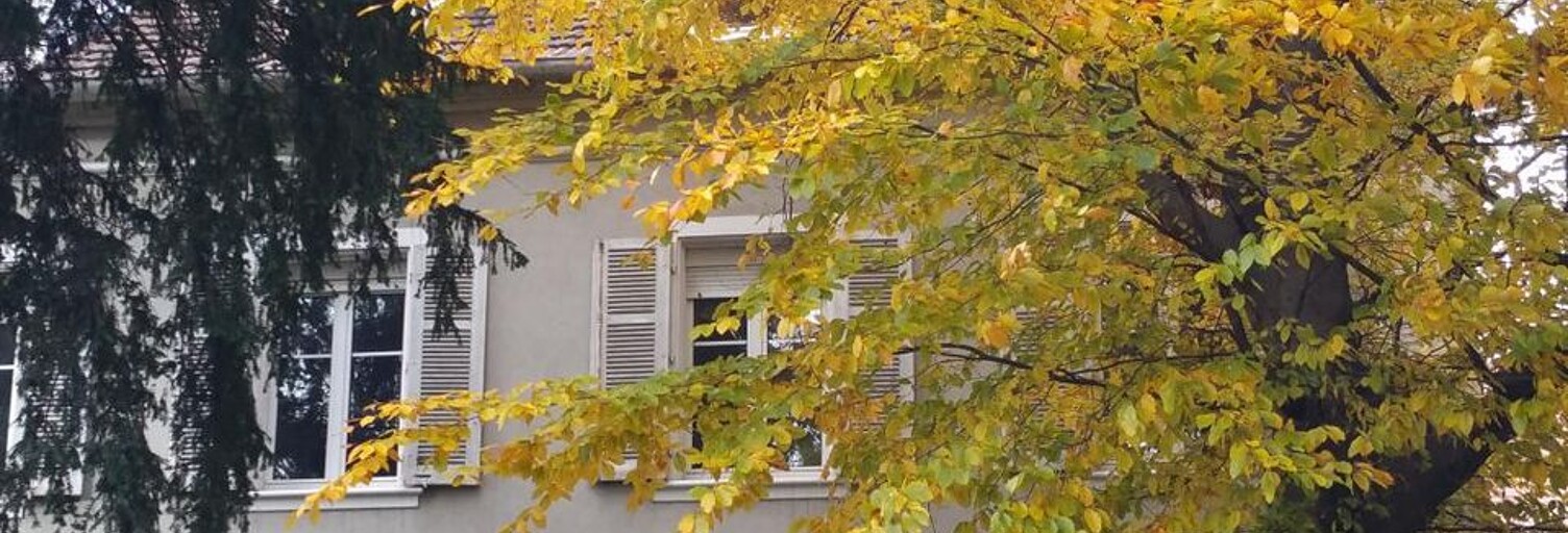 Appartement 3 Pièces 111 m² à louer à Mulhouse (68100)