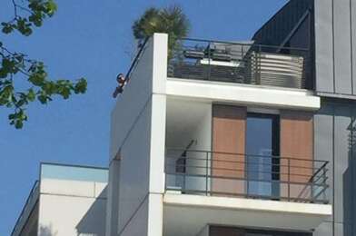 Appartement 2 pièces 910 €