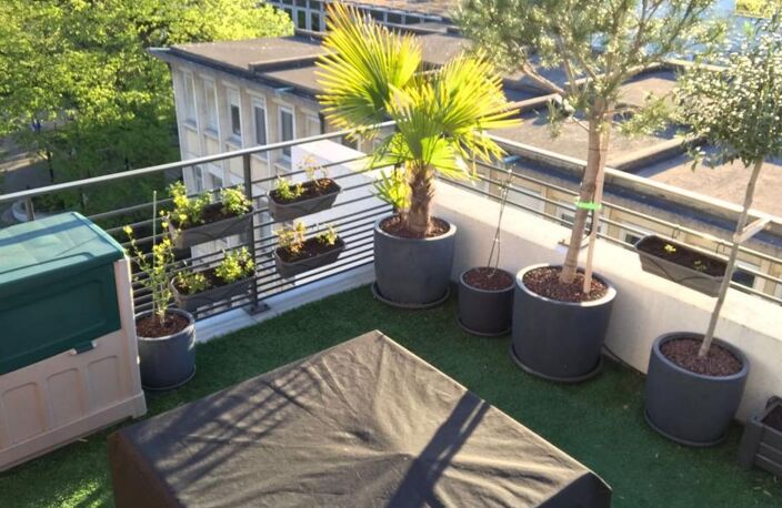 Appartement de 50m2 à louer sur Mantes-la-Jolie — photo 2