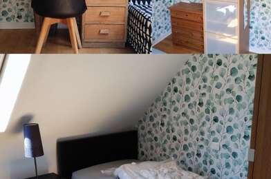 Appartement 1 pièces 350 €