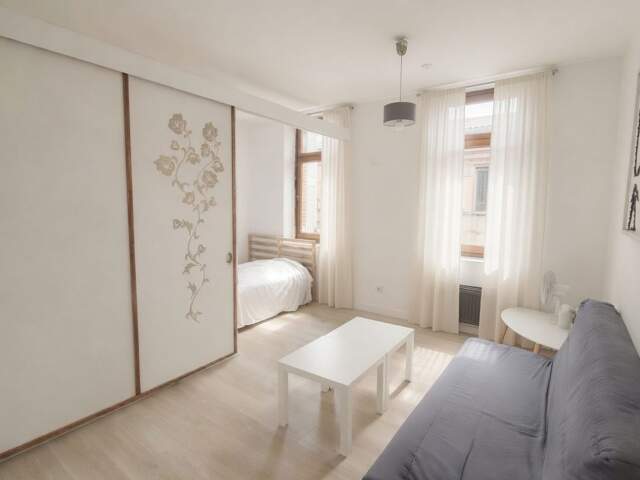 Appartement de 29m2 à louer sur Toulouse — photo du bien