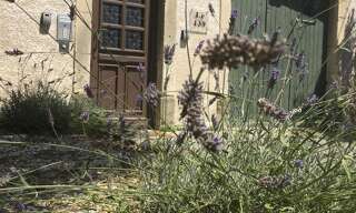 Appartement 1 Pièce 20 m² à louer à Carcassonne (11000)