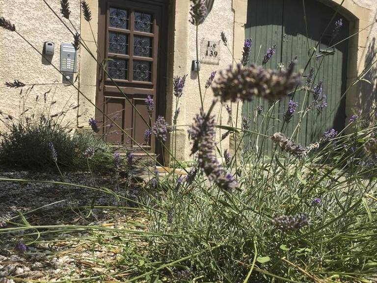 Studio de 20m2 à louer sur Carcassonne — photo 1