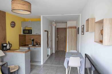 Appartement 1 pièces 480 €