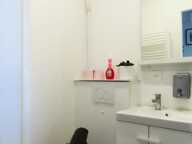 Appartement de 29m2 à louer sur Sceaux — photo 3