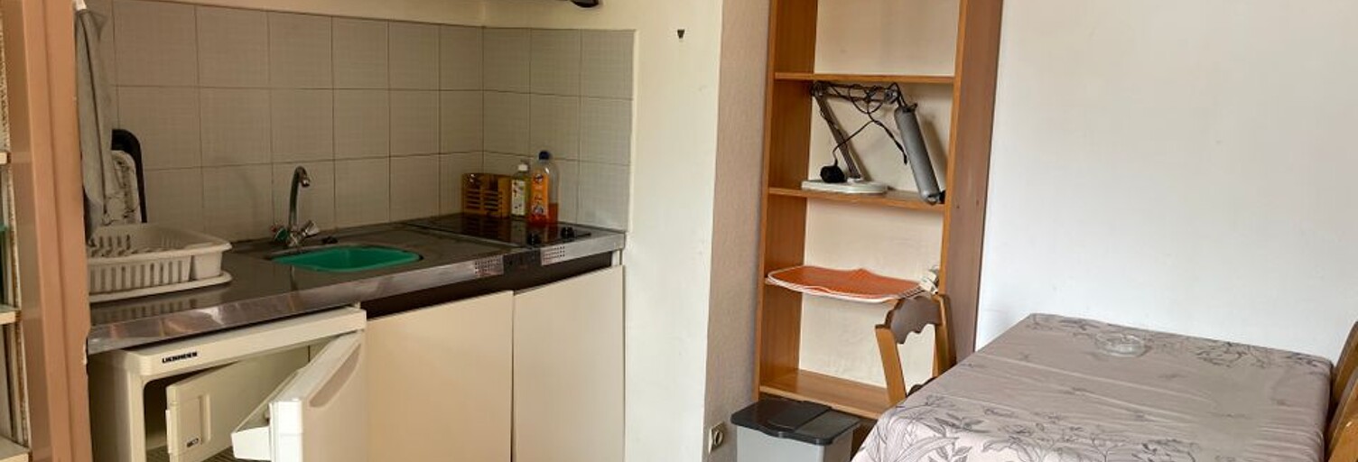 Appartement 1 Pièce 18 m² à louer à Vénissieux (69200)