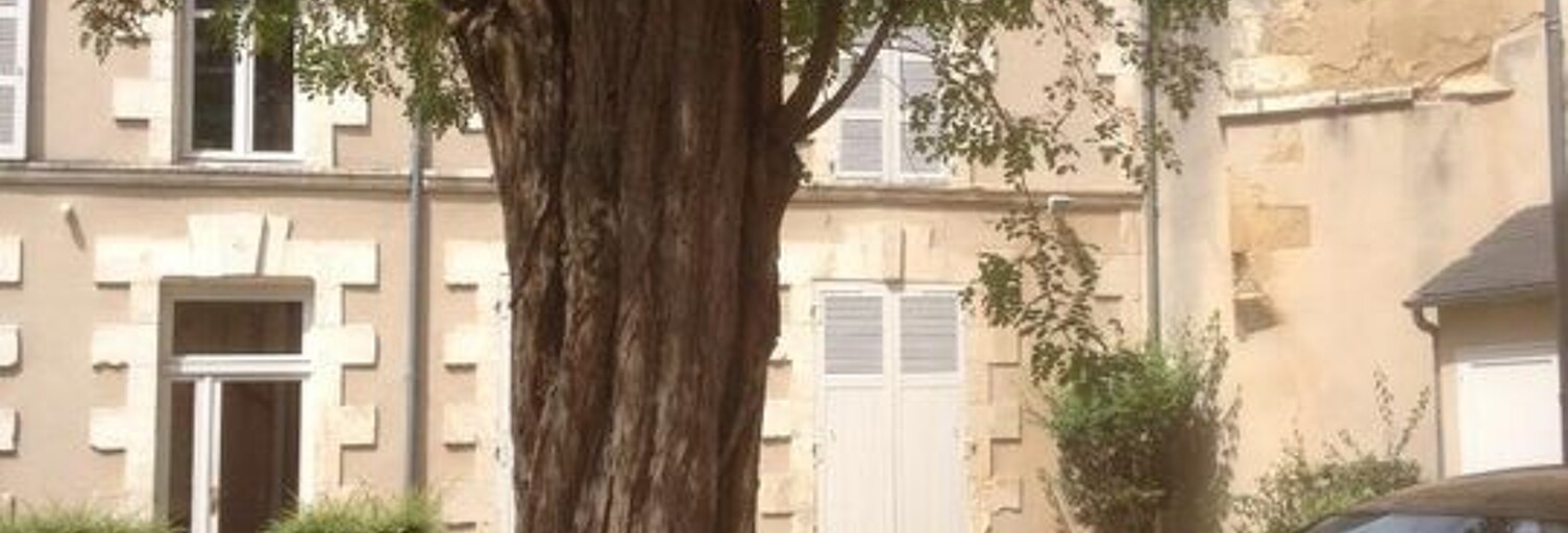 Appartement 3 Pièces 66 m² à louer à Poitiers (86000)