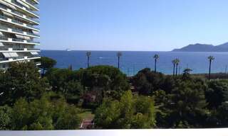 Appartement 1 Pièce 20 m² à louer à Cannes (06150)