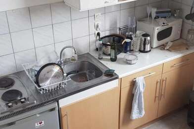 Appartement 1 pièces 532 €