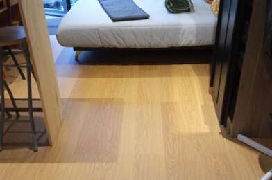 Appartement 1 pièces 790 €