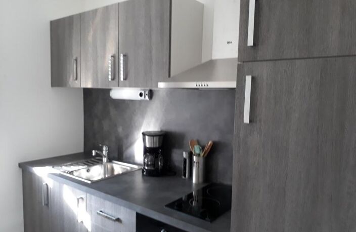 Appartement de 30m2 à louer sur Saint-Étienne — photo 4