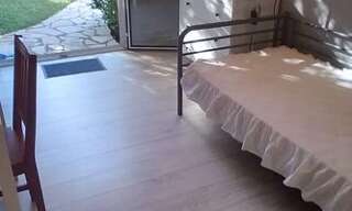 Appartement 1 Pièce 18 m² à louer à Verrières-le-Buisson (91370)