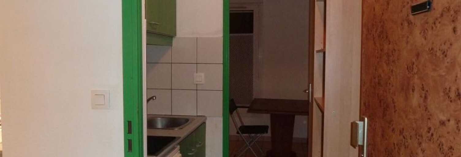 Appartement 1 Pièce 20 m² à louer à Lyon 7 (69007)