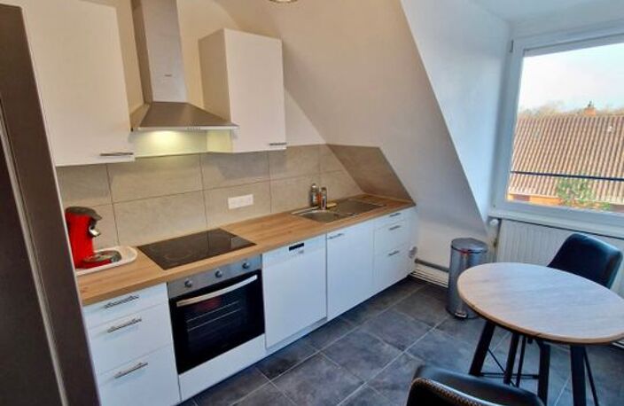 Appartement de 45m2 à louer sur Strasbourg — photo 4