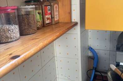Appartement 3 pièces 550 €