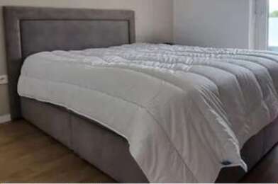 Appartement 2 pièces 1100 €