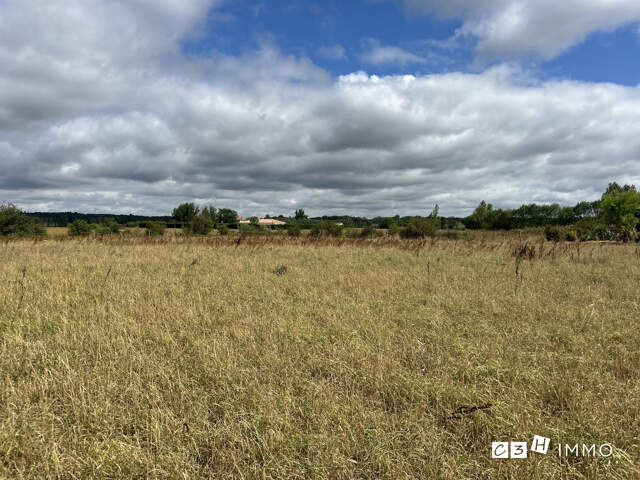 Terrain à vendre Longages — photo du bien