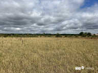 Terrain à vendre Longages — photo 2