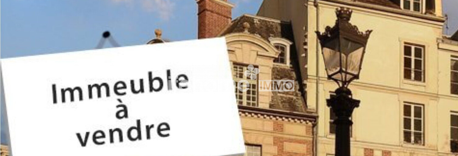 Immeuble  150 m² à vendre à Villedieu-sur-Indre (36320)