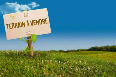 Terrain  364000 €