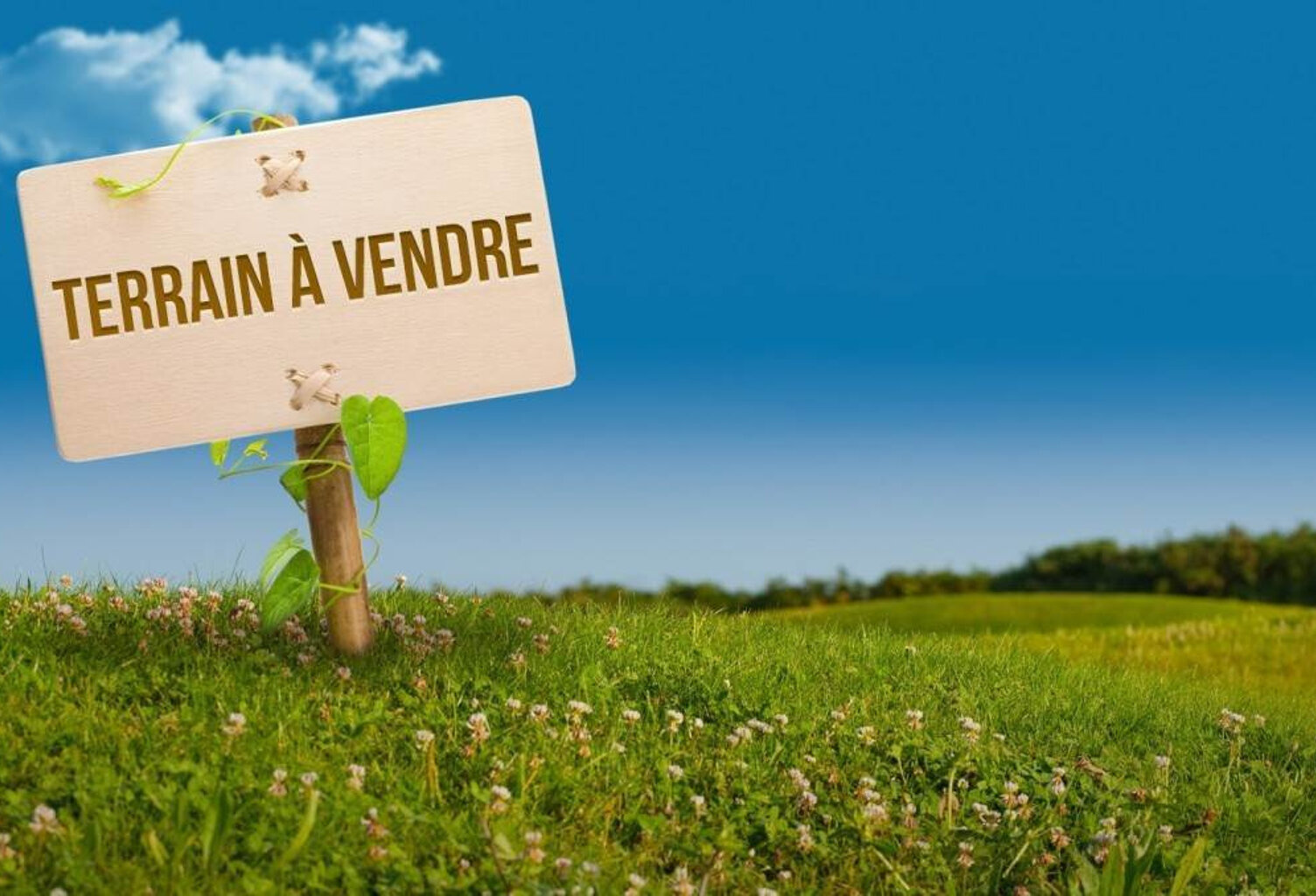 TERRAIN PLAT AU CALME — photo 1