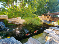 ENTRE UZES ET BAGNOLS SUR CEZE : Villa récente 4 chambres av — photo 2