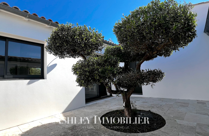 A VENDRE MAISON- ILE DE RÉ - SAINT MARTIN DE RÉ — photo 3