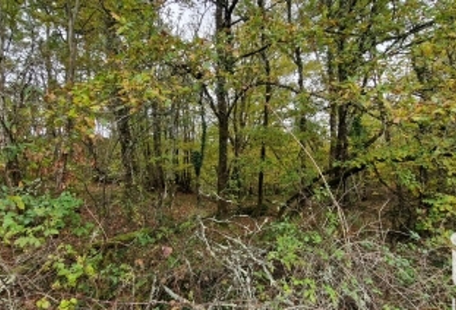 Vente Surface diverse 91 662 m&sup2; — photo 1