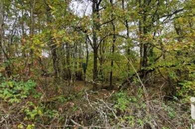 Terrain  28500 €