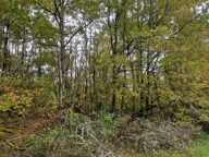 Vente Surface diverse 91 662 m&sup2; — photo 2