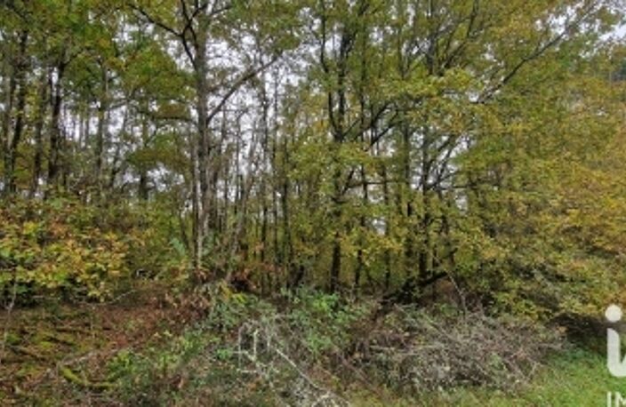 Vente Surface diverse 91 662 m&sup2; — photo 2