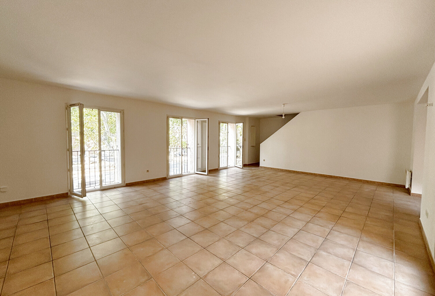 Grand appartement de type P4 avec terrasse — photo 1