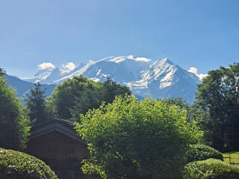 Une propriété unique aux portes de Megève — photo 1