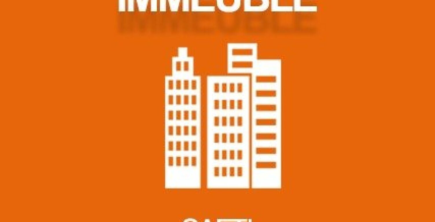 IMMEUBLE COMMERCIAL 170 M2 2 NIVEAUX — photo 1