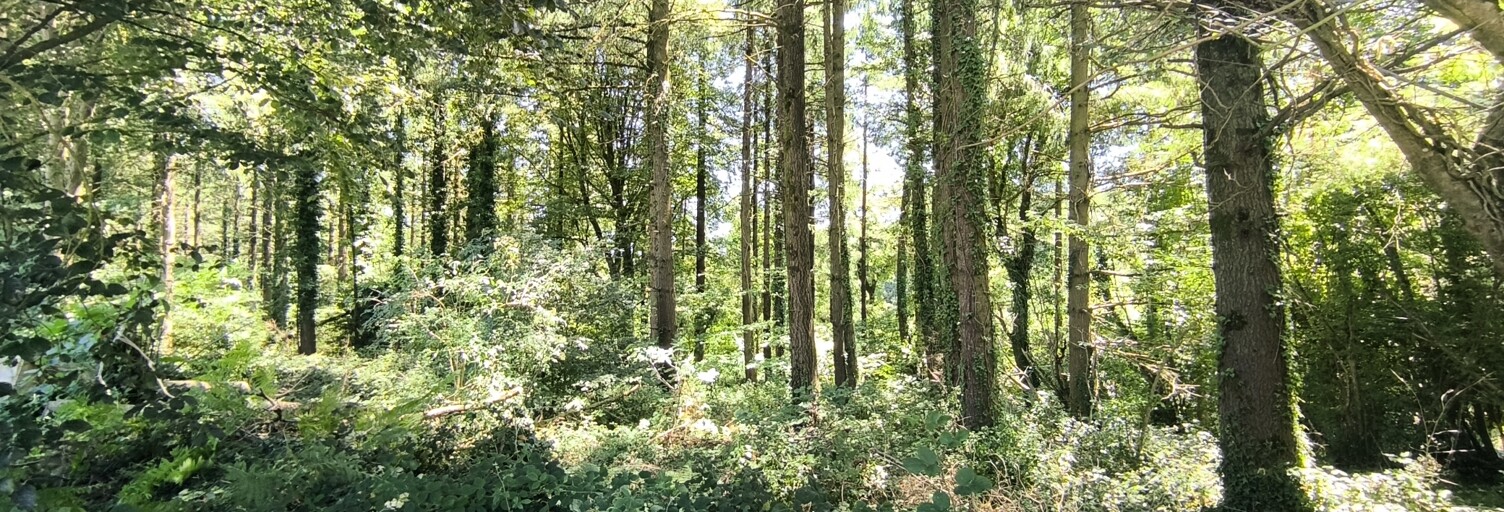 Terrain  7084 m² à vendre à Pleyben (29190)