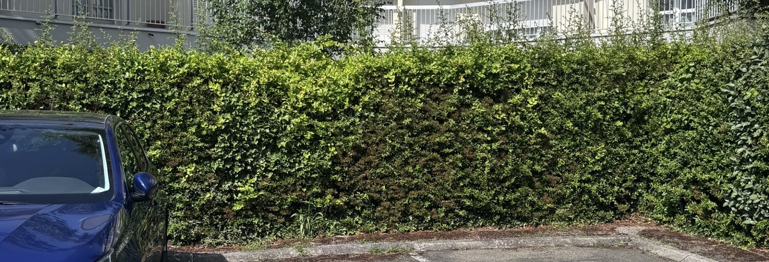 Garage  12 m² à vendre à Le Mesnil-Saint-Denis (78320)