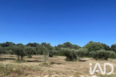 Terrain  315000 €