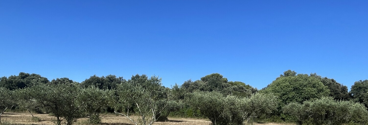 Terrain  1764 m² à vendre à Saint-Siffret (30700)