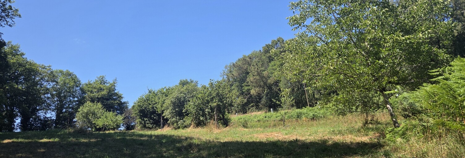 Terrain  3320 m² à vendre à Limerzel (56220)