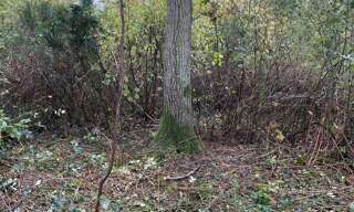 Terrain  3878 m² à vendre à Fontenay-sur-Loing (45210)