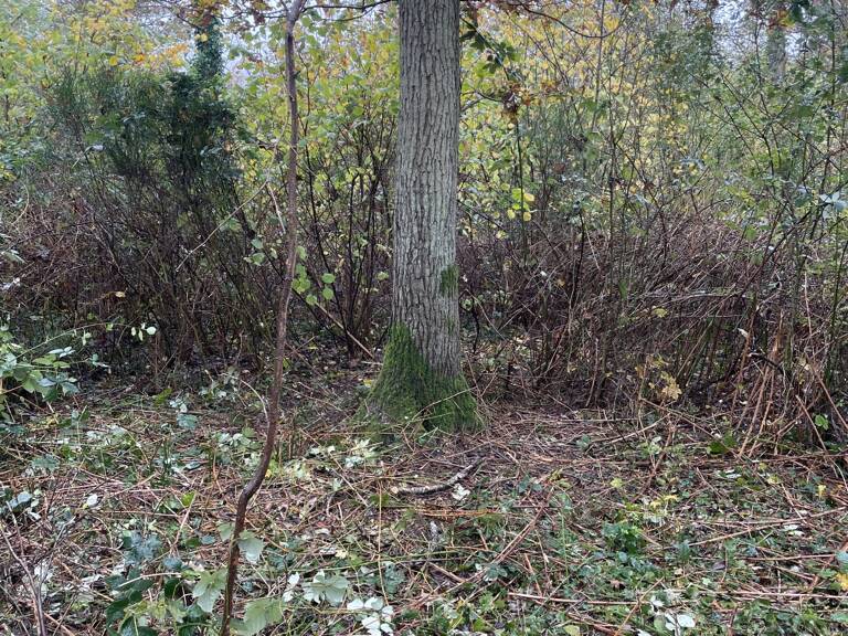 Vente Terrain 3 878 m&sup2; — photo 1