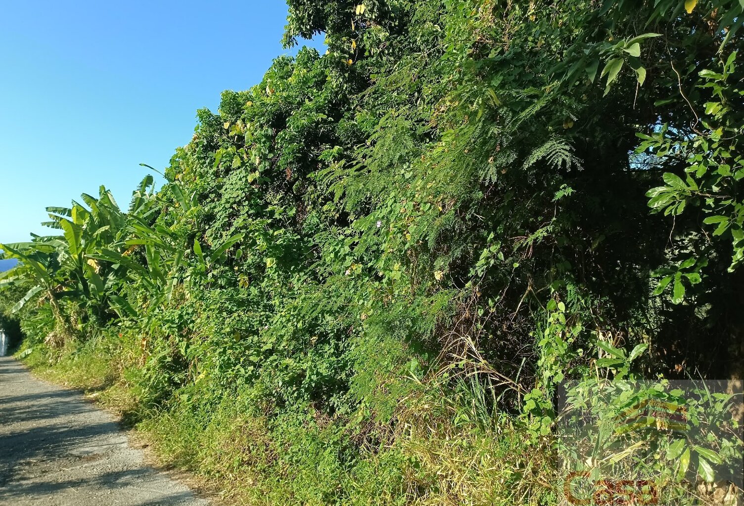 Terrain — photo 1