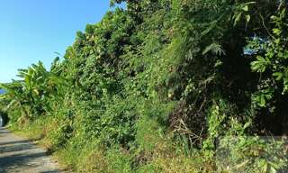 Terrain  500 m² à vendre à Sainte-Rose (97439)