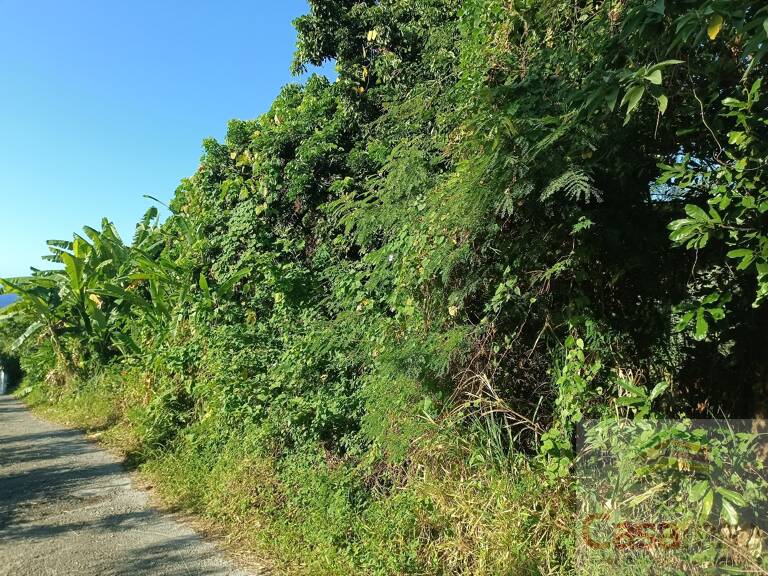 Terrain — photo 1