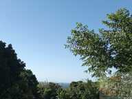Terrain — photo 3