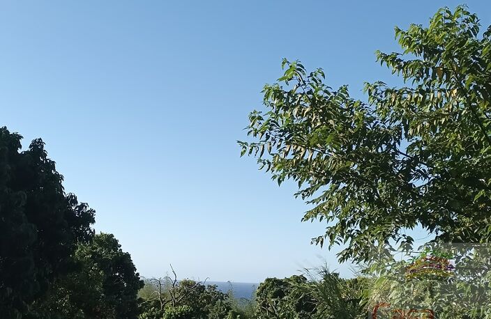 Terrain — photo 3