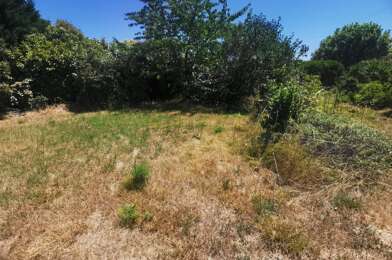 Terrain  51500 €